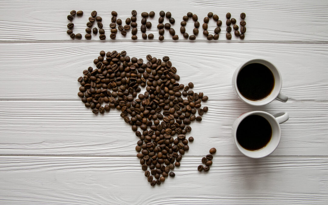 Coffee Conversations with Greg J: Matti Foncha on Cameroon Boyo Coffee